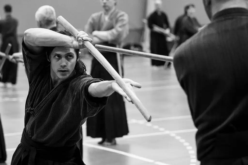 Barış Alpaykut: A Path from Turkish Screens to the Samurai Dojo