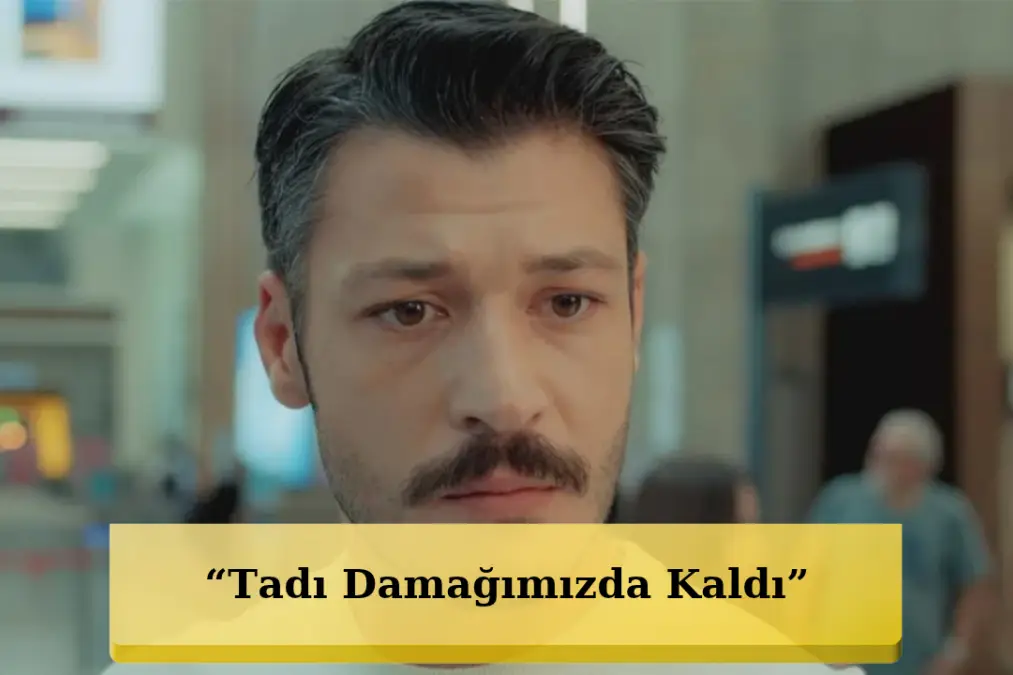 "Mercan Köşk" cancelled after 7 episodes: Kubilay Aka says goodbye to the team